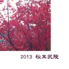 2013 秋末武陵