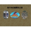 南九州之旅