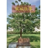 風城往事