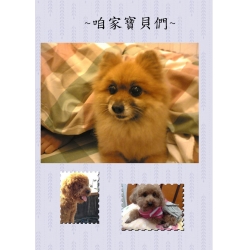 寶貝紀念本