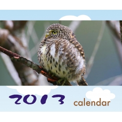 2013桌曆
