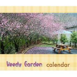 雜草花園橫式桌曆