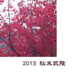 2013 秋末武陵
