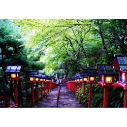 Japan & Korea