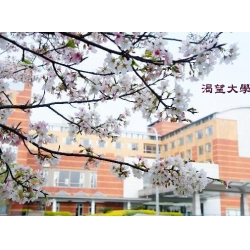 渴望畢業論文