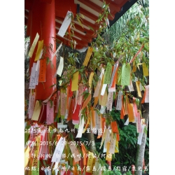 2015夏 日本 南九州五日