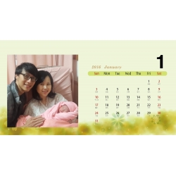 Hans's calendar