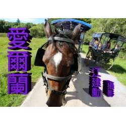 愛爾蘭