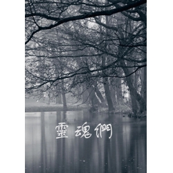 靈魂們
