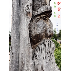 加拿大