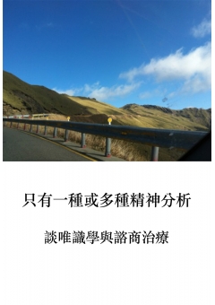 只有一種或多種精神分析