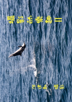 攝影的樂趣 II