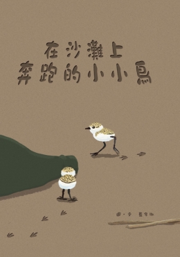 在沙灘上奔跑的小小鳥