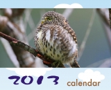 2013桌曆