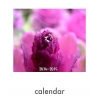 2014-雜草花園直桌曆